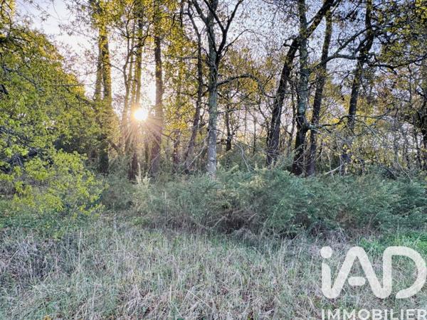 Terrain à vendre 800 m² Soulac-sur-Mer