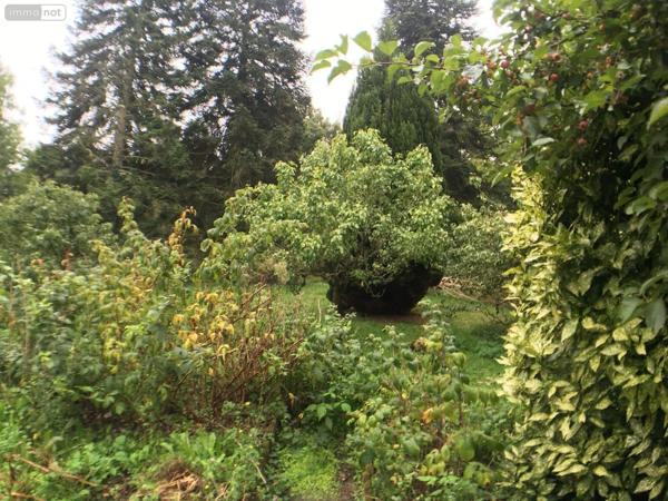 Achat - Maison | Maison Pontorson 50170 5 pièces 121 m 2 1311 m 2