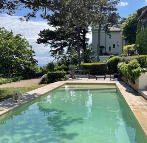 Saint Cyr au Mont d'Or - Propriété avec 2 maisons sur 8000m2 de terrain. Grand garage.