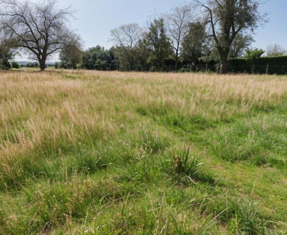 Opportunité de rêve ! Terrain à bâtir disponible dès maintenant !