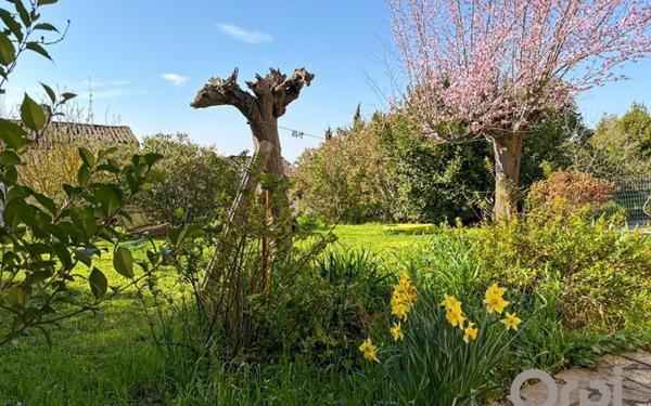 Maison à vendre    4 pièces •  Lectoure