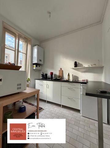Immeuble Nancy 22 pièce(s) 390 m2