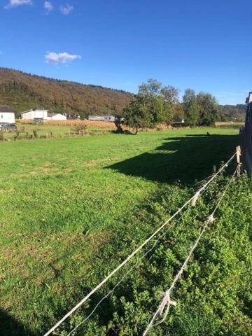 Terrain plat constructible viabilisé de 1008 m2