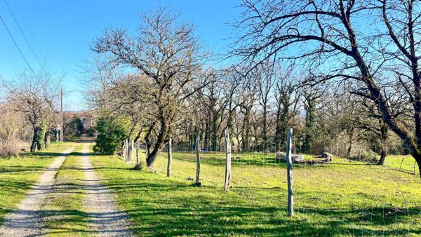 Ancienne ferme rénovée, Saint Benoit De Carmaux 6 pièce(s) 215 m2