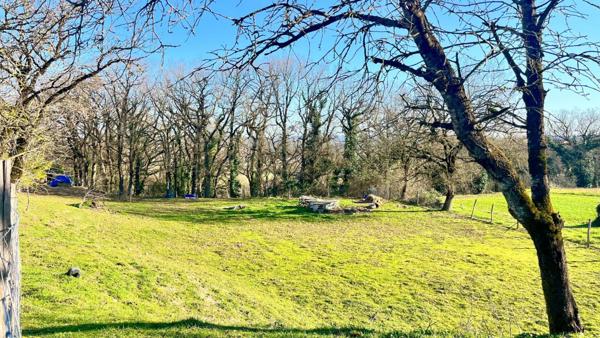 Ancienne ferme rénovée, Saint Benoit De Carmaux 6 pièce(s) 215 m2