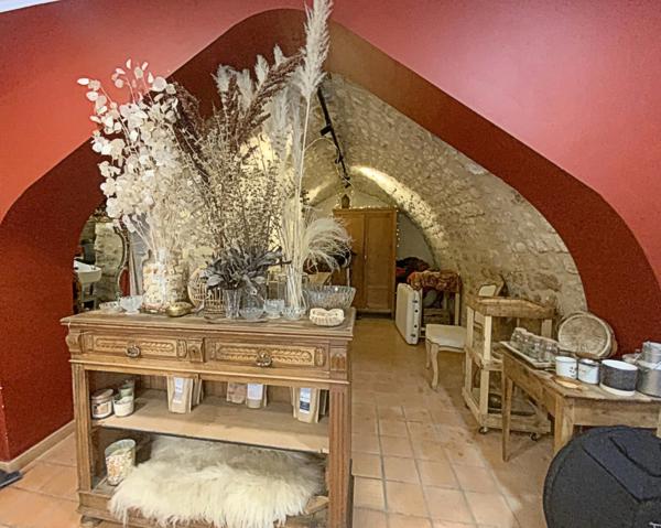 Maison de village avec local commercial 6 pièces SAINT MICHEL L'OBSERVATOIRE (04)