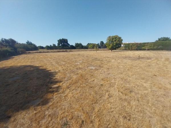 Vente / Maison à Sallertaine (85300)
