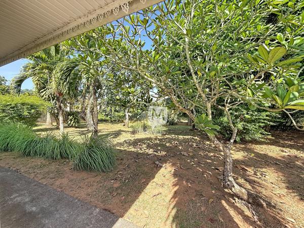 DPT GUYANE, à vendre RÉMIRE-MONTJOLY Maison T4 + Appartement T2 de 219 m²