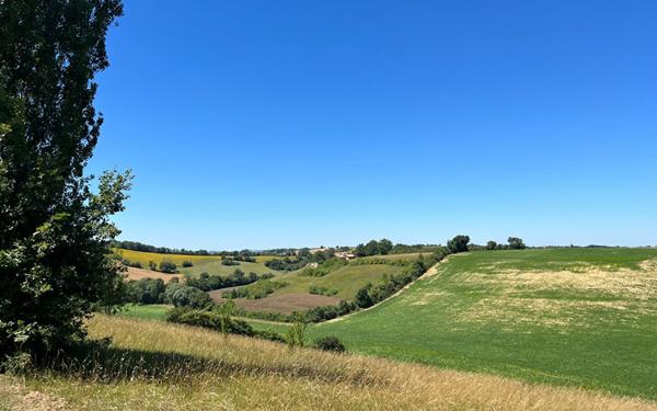 Maison à louer    5 pièces •  Pébées