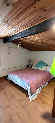 Rabastens: A 30mn de Toulouse, belle villa T5 avec beau jardin et piscine + T2  sur un terrain de 3000 m2