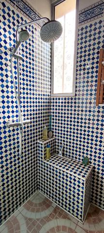 Rabastens: A 30mn de Toulouse, belle villa T5 avec beau jardin et piscine + T2  sur un terrain de 3000 m2