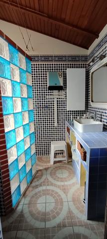 Rabastens: A 30mn de Toulouse, belle villa T5 avec beau jardin et piscine + T2  sur un terrain de 3000 m2