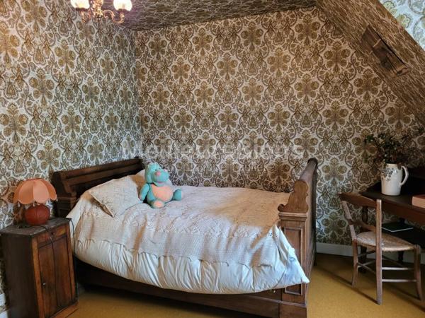 Maison en ardoises avec grand terrain