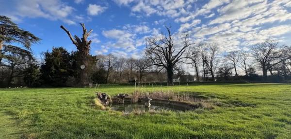 Manoir d'Exception à Le Rheu - Charme Historique et Opportun