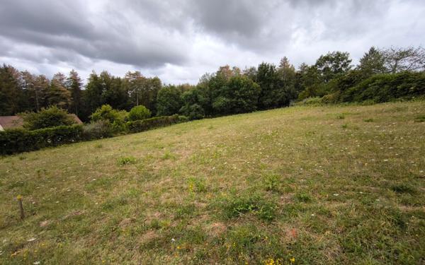 Terrain à vendre    Cosnac