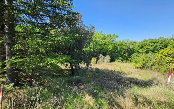 Terrain à vendre    Barjac