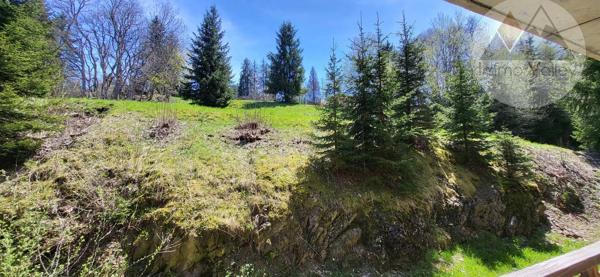 Appartement à vendre - Megève 2 pièces de 37.21 m²