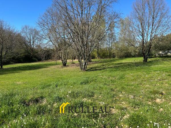 MAGNIFIQUE PROPRIETE: MAISON DE MAITRE + GRAND GITE/ TERRAIN DE 1,7 HA Détails des diagnostics énergétiques