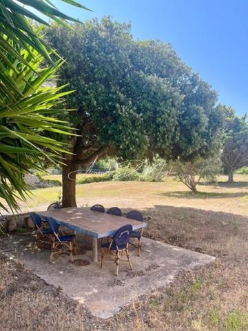 Propriété dans la campagne bonifacienne