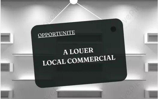 À LOUER - LOCAL COMMERCIAL / ENTREPÔT