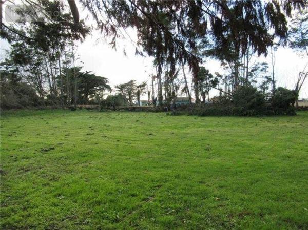 Terrain à Batir à vendre à Bouin en Vendée (85230), ref : 999/M/2237-85092