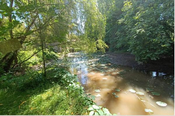 Alloue ? Deux maisons traditionnelles rénovées avec jardin en bord de rivière ? possibilité d'activité commerciale. Alloue
