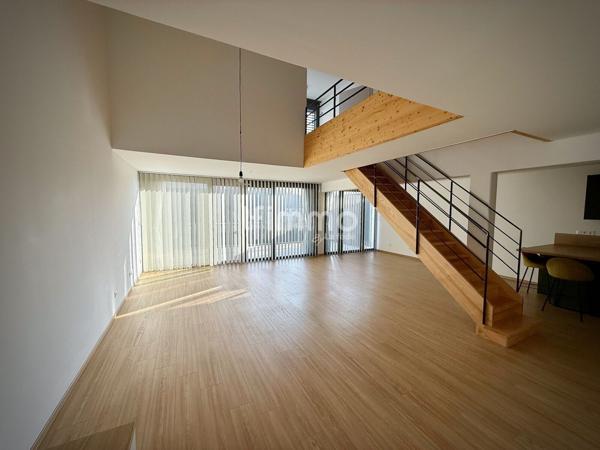 Loft d'exception unique / Rooftop de 59 m2 (Mulhouse Fonderie)