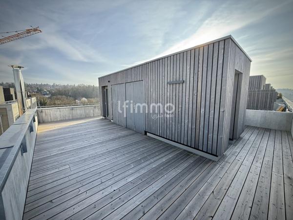 Loft d'exception unique / Rooftop de 59 m2 (Mulhouse Fonderie)