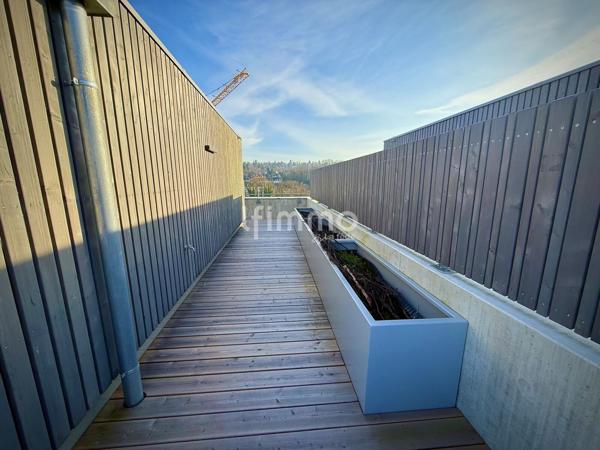 Loft d'exception unique / Rooftop de 59 m2 (Mulhouse Fonderie)