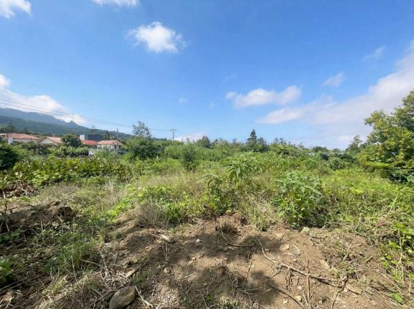🌿 TERRAIN CONSTRUCTIBLE 640 m² (LOT A) – PLAT - ACCÈS DIRECT – 125 €/m2 – SAINT-JOSEPH