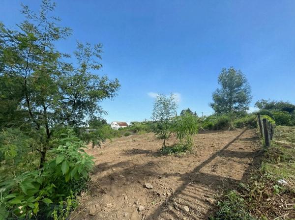 🌿 TERRAIN CONSTRUCTIBLE 640 m² (LOT A) – PLAT - ACCÈS DIRECT – 125 €/m2 – SAINT-JOSEPH