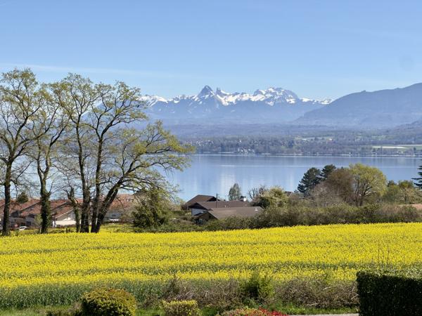 Maison d’exception avec piscine à Excenevex