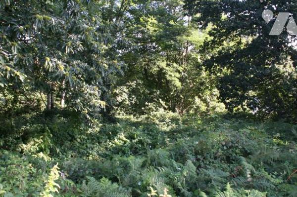 TERRAIN Rive gauche, proche de l'ancienne caserne des PompiersEnviron 900 m²A viabiliser et a d...