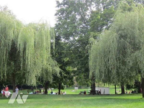 T4 avec Terrasse et Cellier