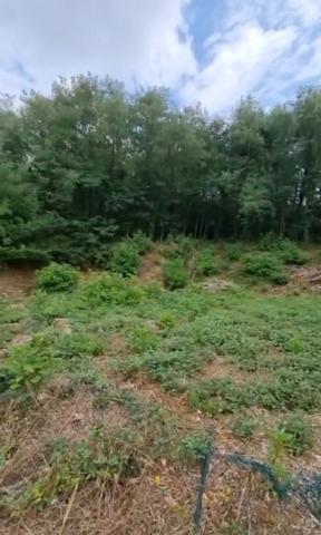 Brive la gaillarde - Proche centre ville - Terrain Constructible