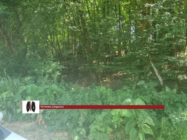 Parcelle de Bois