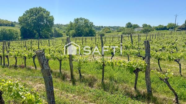 Terrain de 700 m2 avec vue sur les vignes
