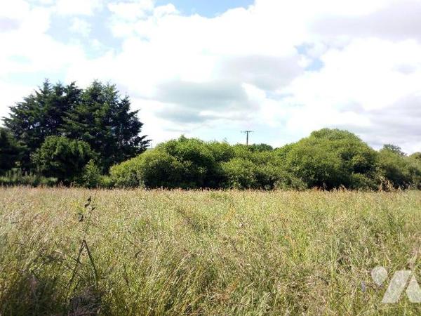 Entre MAYENNE et VILLAINES-LA-JUHEL (53), un ensemble immobilier composé :
- d'une maison d'ha...