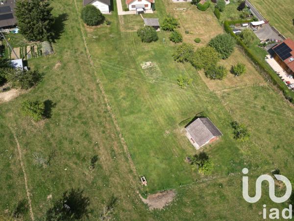 Terrain à vendre 1 200 m² Pfetterhouse