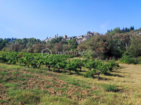 Maison d hote de 482 m²