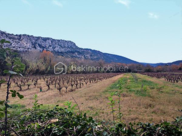 Maison d hote de 482 m²