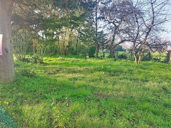 Terrain à la Bénate