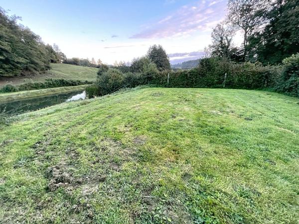 Etang de 1000 m2 sur un terrain de 2740 m2