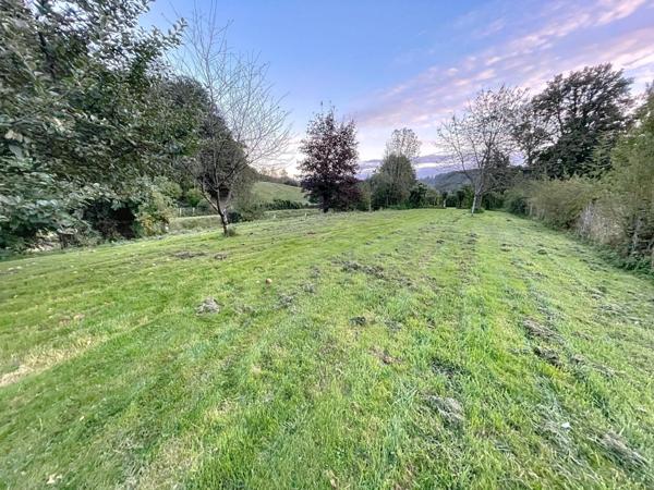 Etang de 1000 m2 sur un terrain de 2740 m2