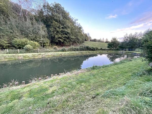 Etang de 1000 m2 sur un terrain de 2740 m2