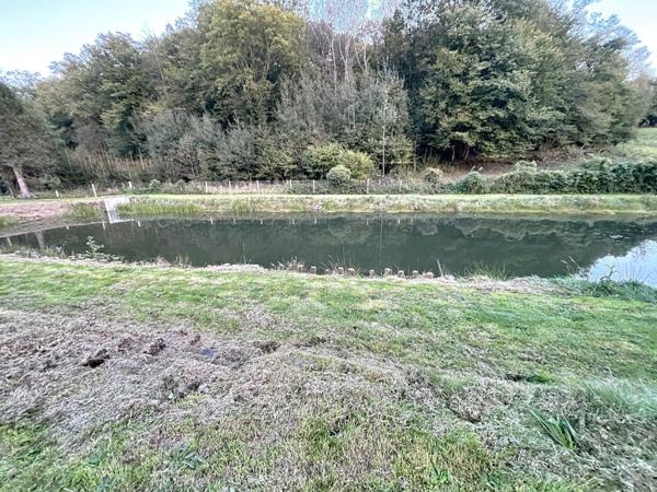 Etang de 1000 m2 sur un terrain de 2740 m2