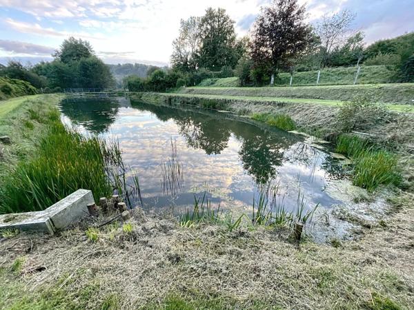 Etang de 1000 m2 sur un terrain de 2740 m2