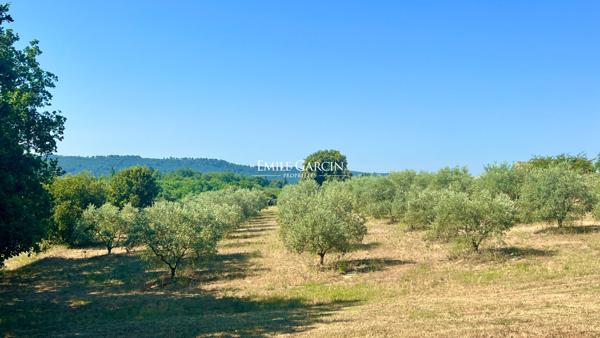 Sud Luberon - Mas ancien à vendre à Cucuron