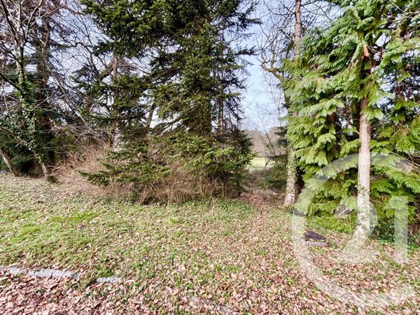 Maison à vendre  6 pièces - 113,23 m2 ISLE - 87