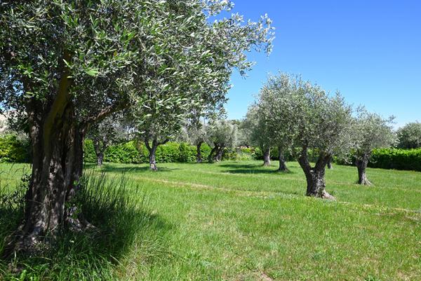 EXCLUSIVITE CHATEAUNEUF-DE-GRASSE -CHEMIN DE SAINT JEAUME 181 m²